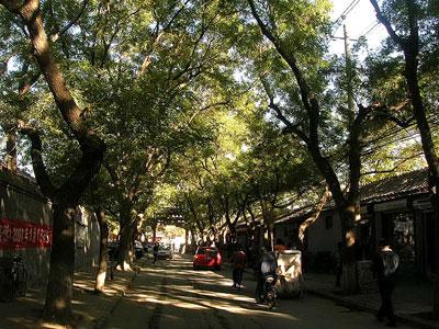 体验老北京风情 北京十大胡同